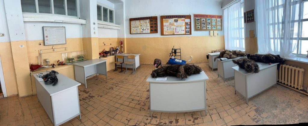 photo_2024-11-21_14-51-33