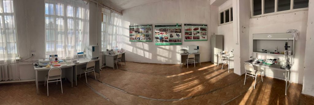 photo_2024-11-21_14-51-34