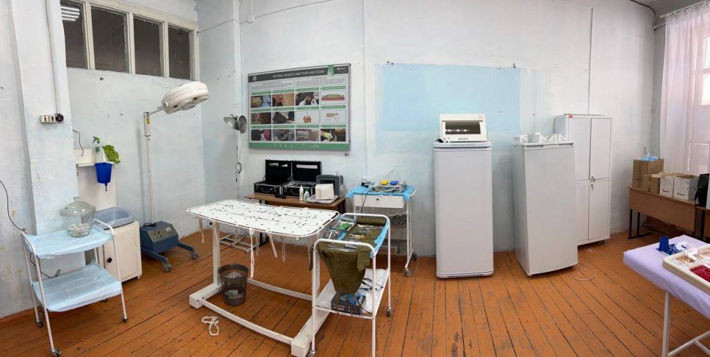 photo_2024-11-21_14-51-35